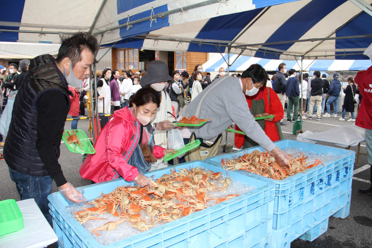 松葉カニを色んな食べ方で楽しめる！浜坂漁港「第37回浜坂みなとカニ祭り」 新温泉町 [画像]