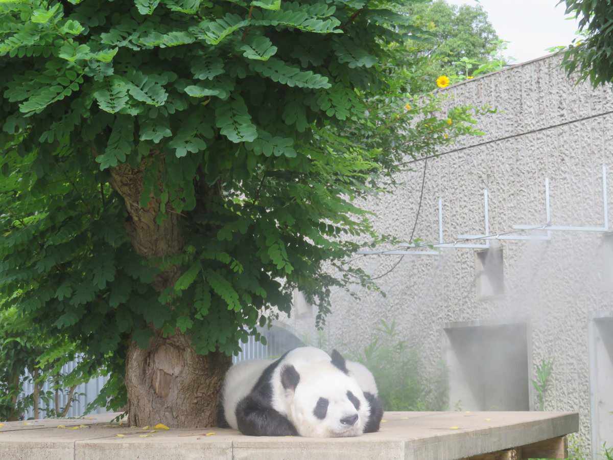 提供／神戸市立王子動物園