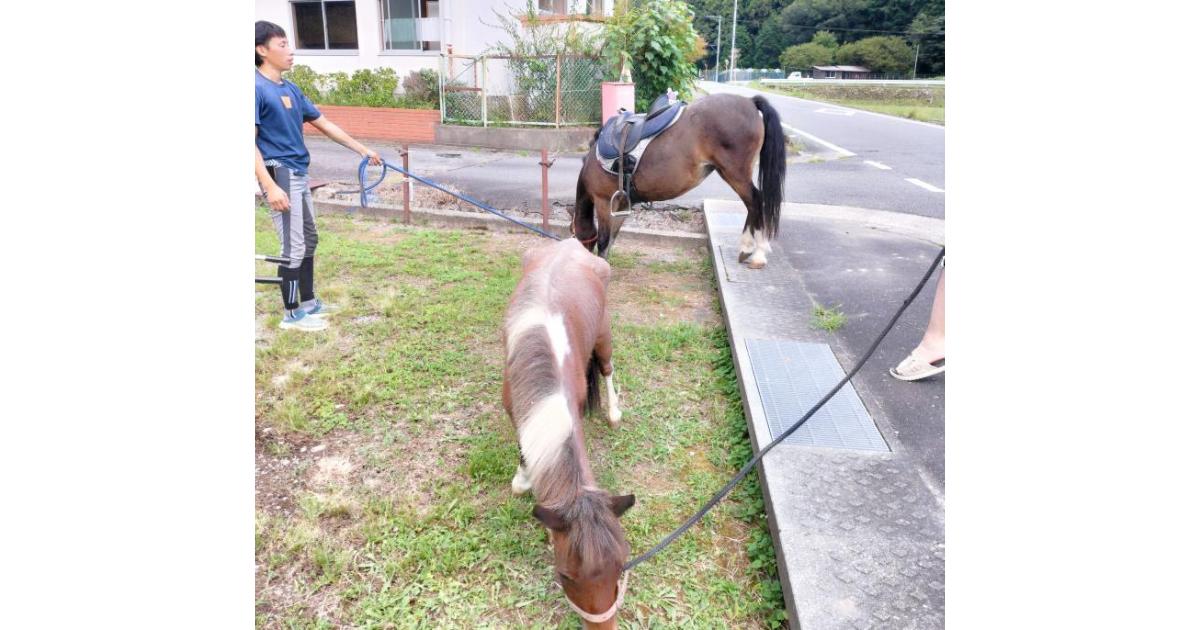 安富北小学校で「つながるマルシェ」開催 アースオーブンピザや乗馬体験も　 姫路市 [画像]