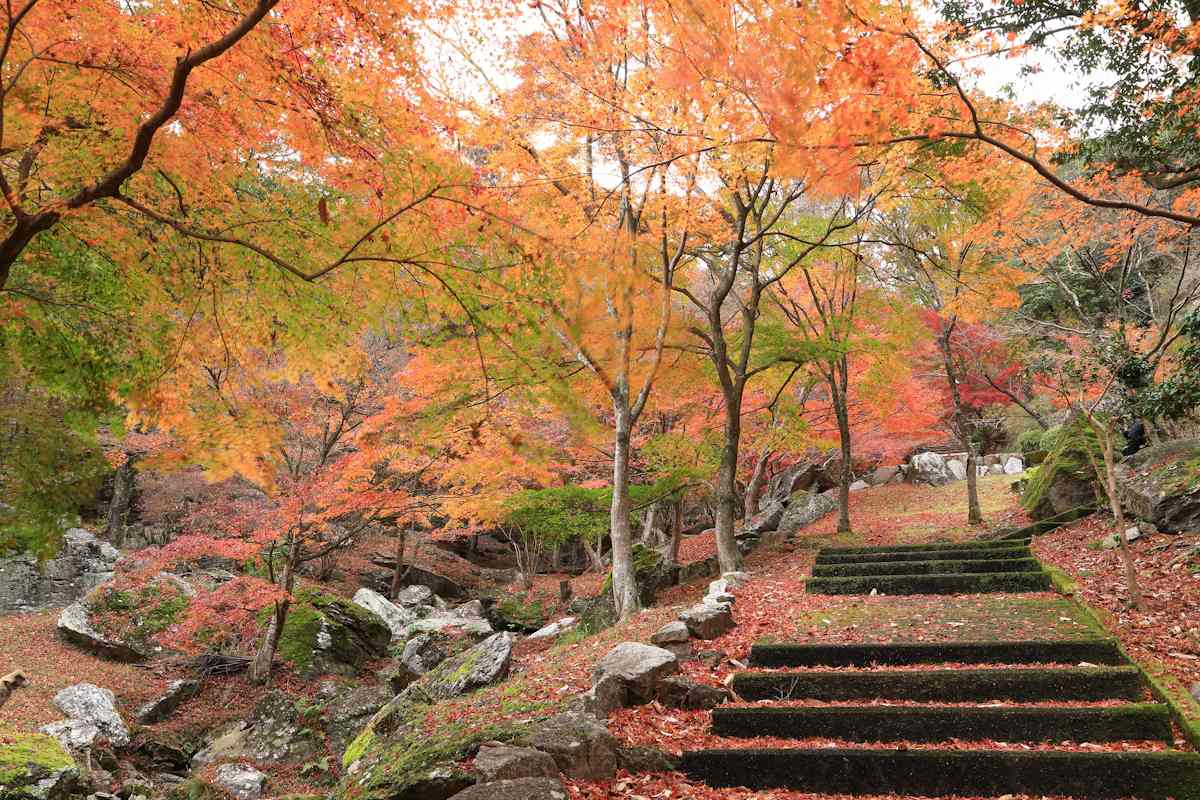 不動の滝を目指す道中の景色にもつい目を奪われる一場面