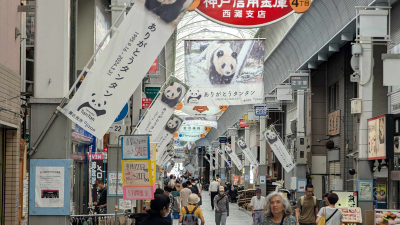 水道筋商店街がパンダ「タンタン」への感謝を込めた“タンタンジャック”を実施中 神戸市 [画像]