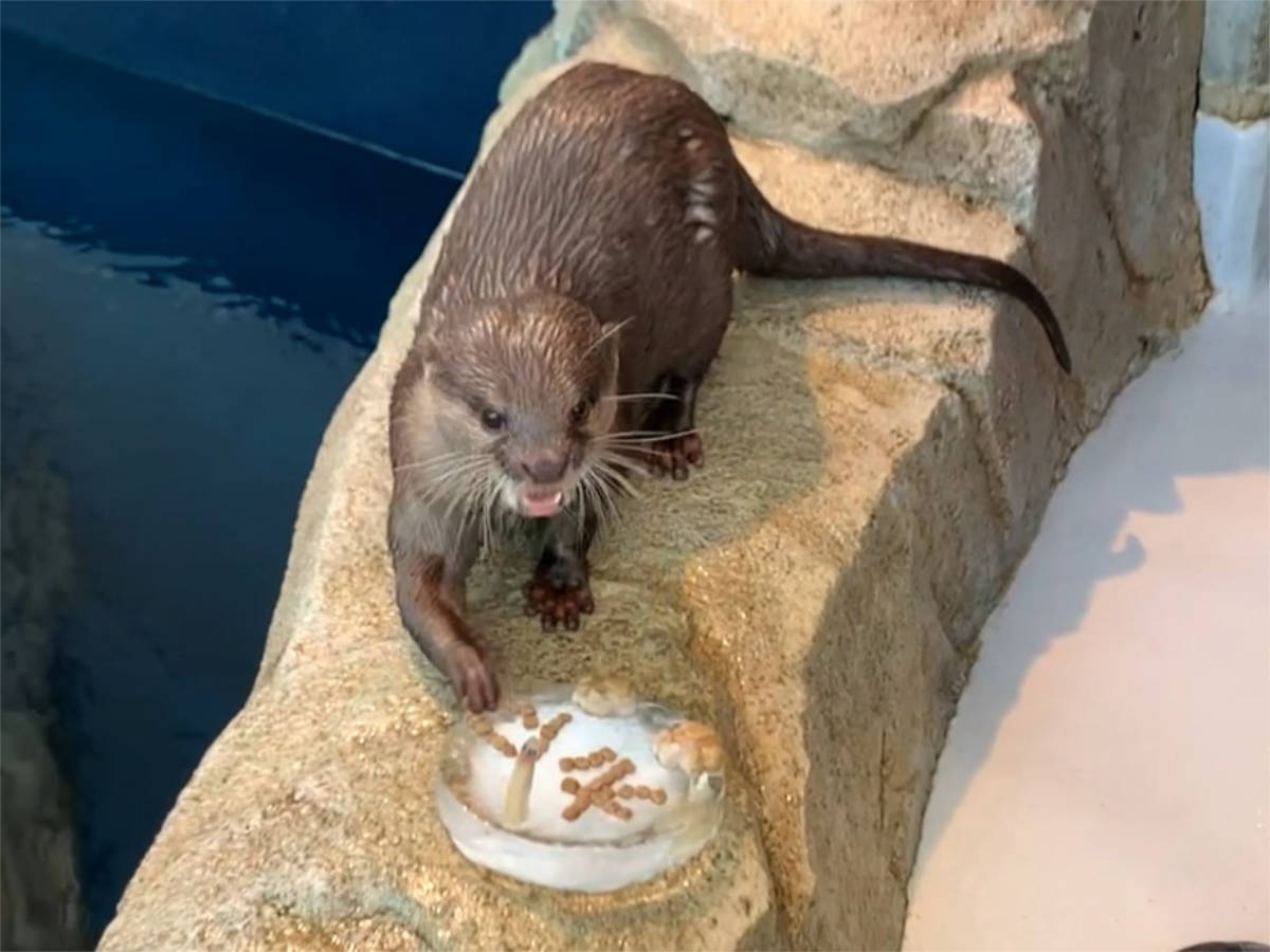 氷ケーキと「お浜」（去年の様子）