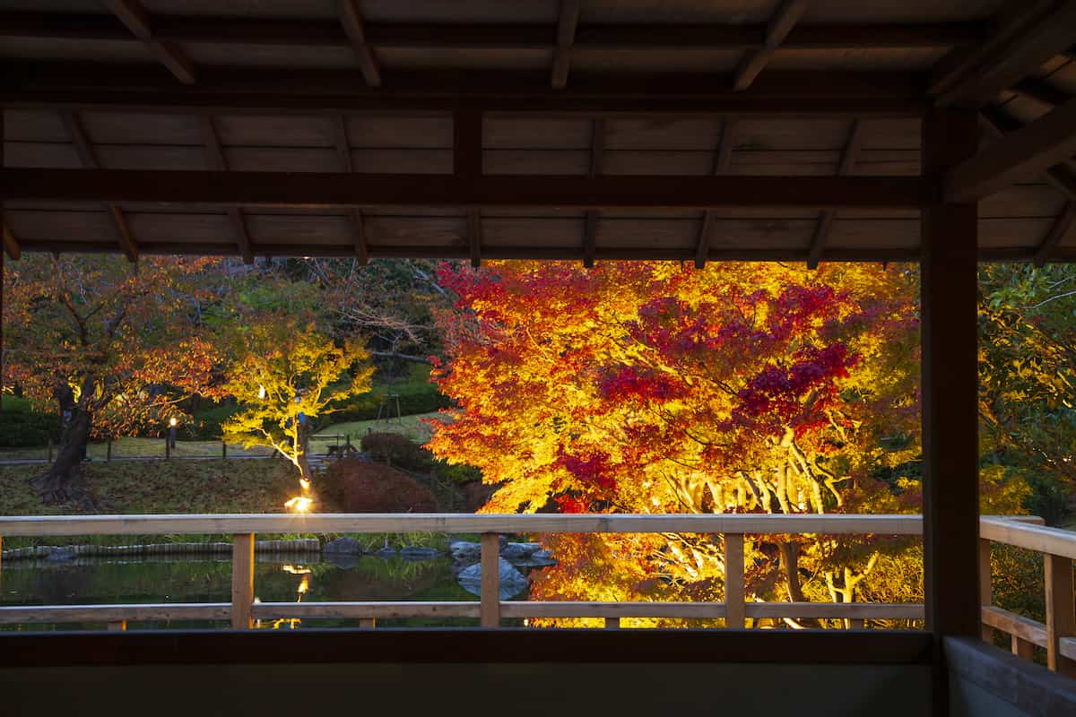 しあわせの村が日本庭園での紅葉ライトアップを11月8日からスタート 神戸市 [画像]