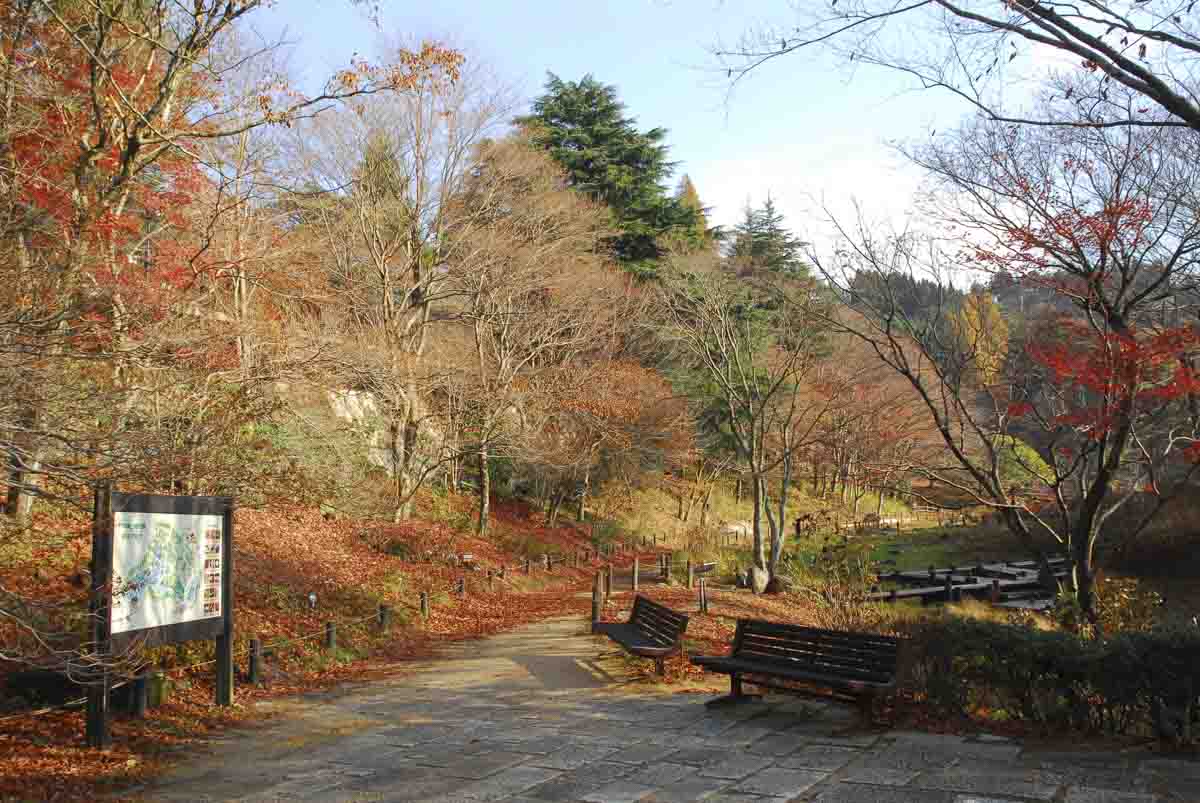 いち早く紅葉が色づき始めた『六甲高山植物園』見ごろは11月上旬まで 神戸市 [画像]