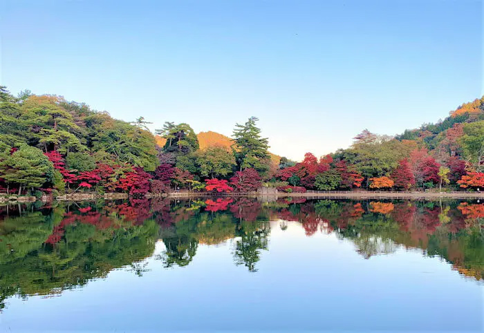 水面に映る美しい紅葉♪六甲山『再度公園』で11月中旬から紅葉が見ごろに 神戸市 [画像]