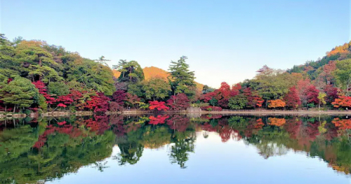 水面に映る美しい紅葉♪六甲山『再度公園』で11月中旬から紅葉が見ごろに