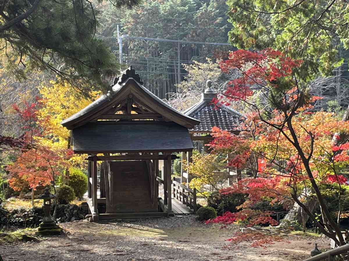 太鼓橋×池×紅葉のコラボは圧巻『白毫寺（びゃくごうじ）』の紅葉が11月上旬より見ごろに 丹波市 [画像]