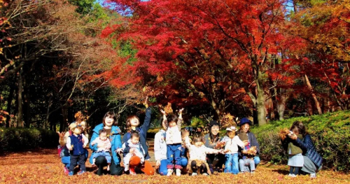 多可町余暇村公園で11月上旬から紅葉が見ごろに！紅葉ライトアップも開催