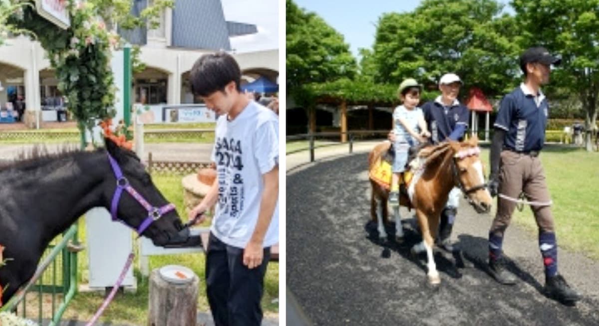 （左）エサやり体験の様子（右）引き馬体験の様子　※大会公式サイトより引用