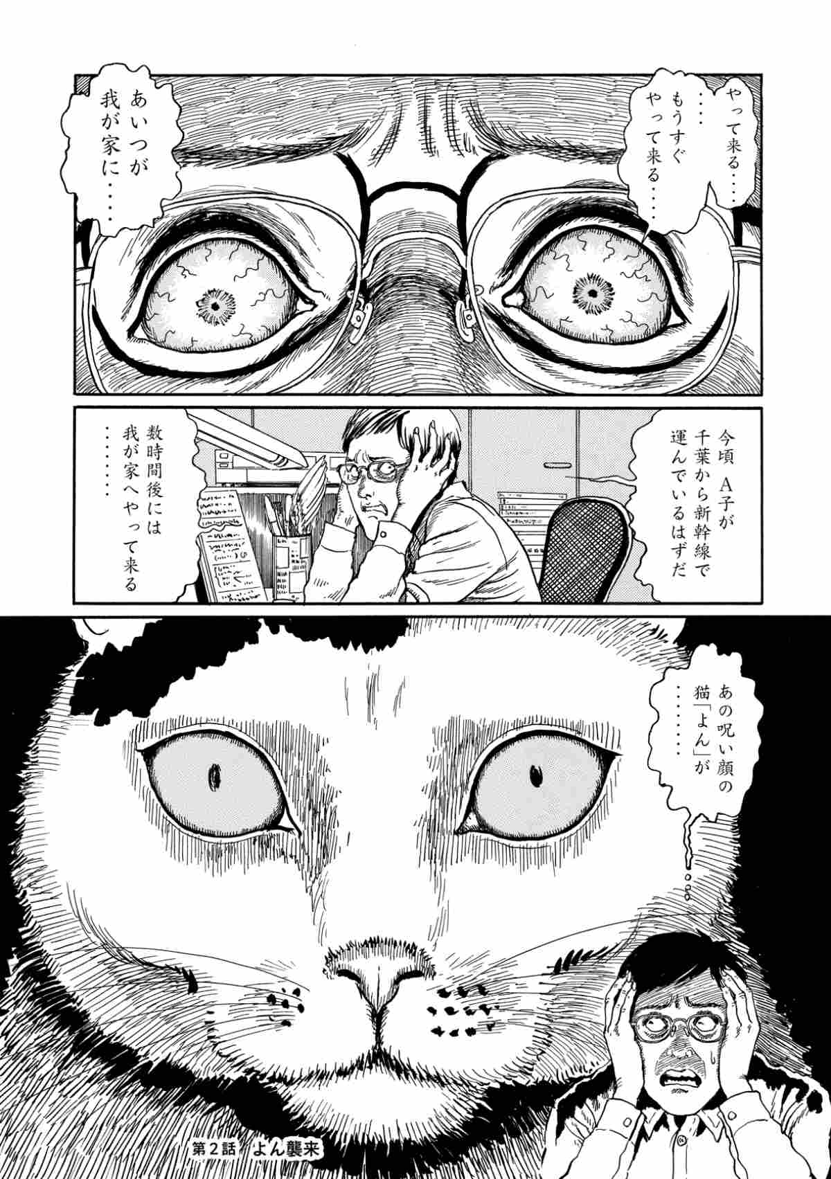 《伊藤潤二の猫日記　よん＆むー》2009年　&copy;伊藤潤二／講談社