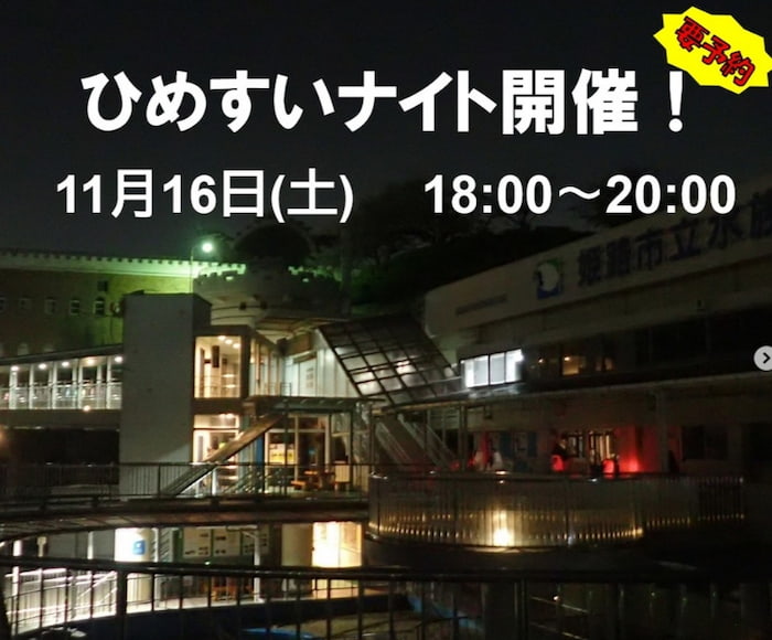 夜の水族館を散策する1日限定イベント♪姫路市立水族館「ひめすいナイト」 姫路市 [画像]