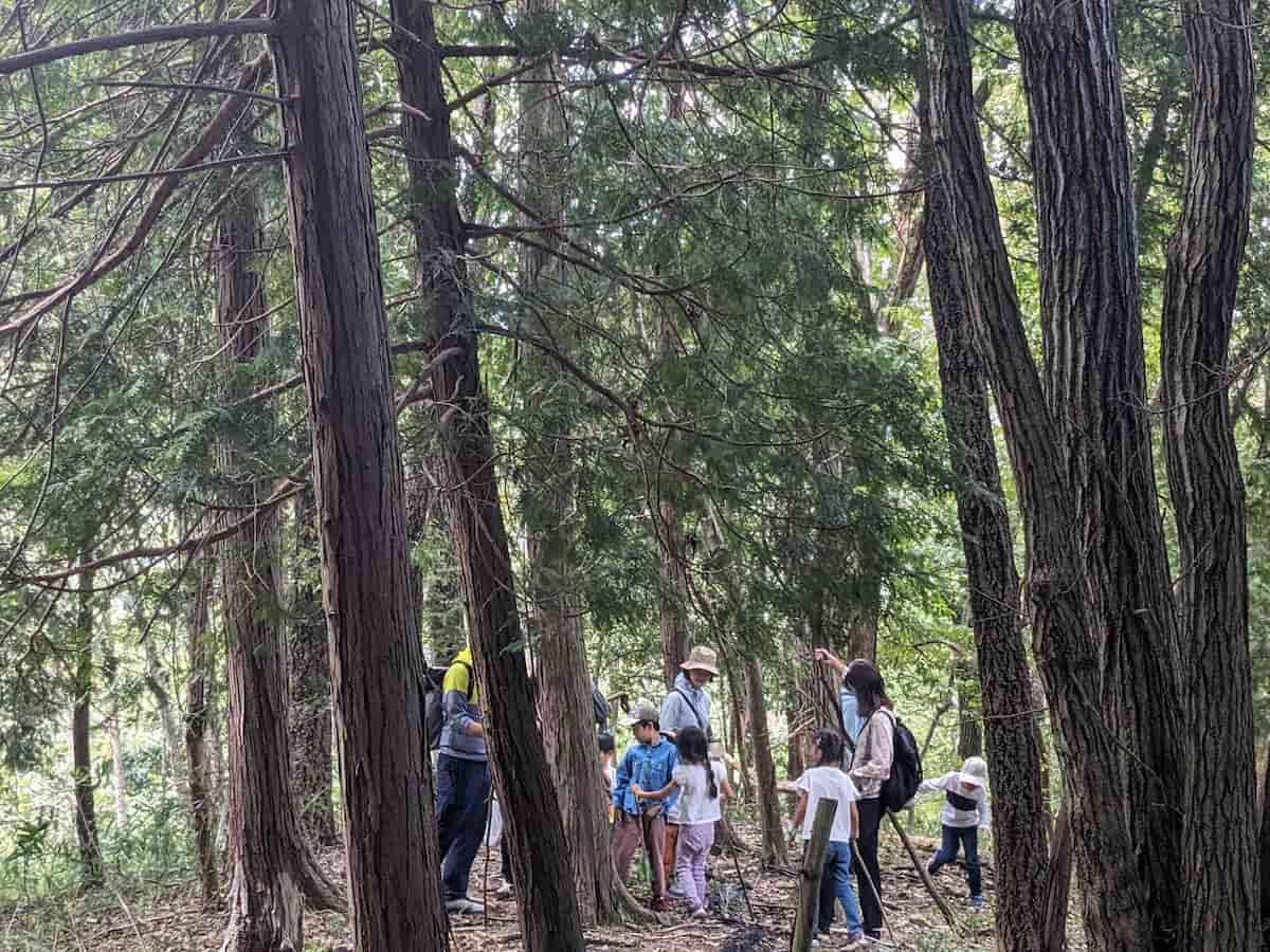 ファミリーで過ごす秋の里山「黒川里山マルシェ2024秋」ダリア園も見ごろに 川西市 [画像]