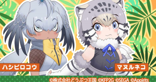 ハシビロコウとマヌルネコが登場！神戸どうぶつ王国で『けものフレンズ3』コラボ開催中