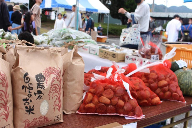 売り切れ御免！幻の味覚が満載！「丹波たんなん味覚まつり」「城東味まつり」 丹波篠山市 [画像]