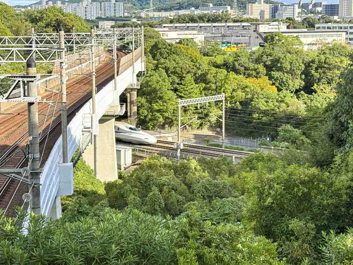 体を動かしたい休日にぴったり♪「神戸総合運動公園」で心地よい屋外体験 神戸市 [画像]