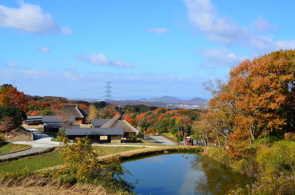 あいな里山公園で開催♪紅葉深まる秋を楽しむ多彩な体験プログラム 神戸市 [画像]