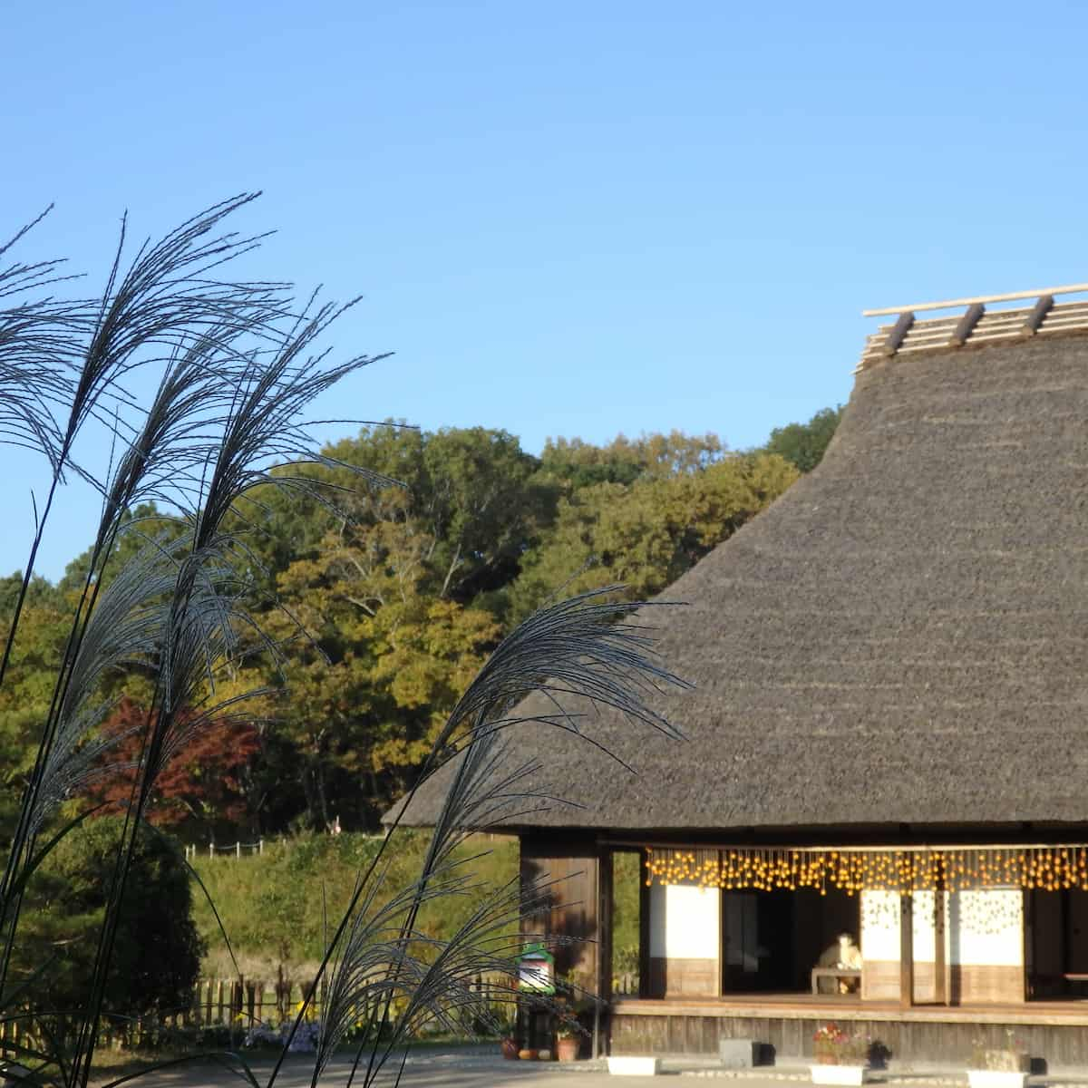 あいな里山公園で開催♪紅葉深まる秋を楽しむ多彩な体験プログラム 神戸市 [画像]