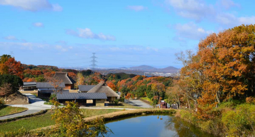 あいな里山公園で開催♪紅葉深まる秋を楽しむ多彩な体験プログラム