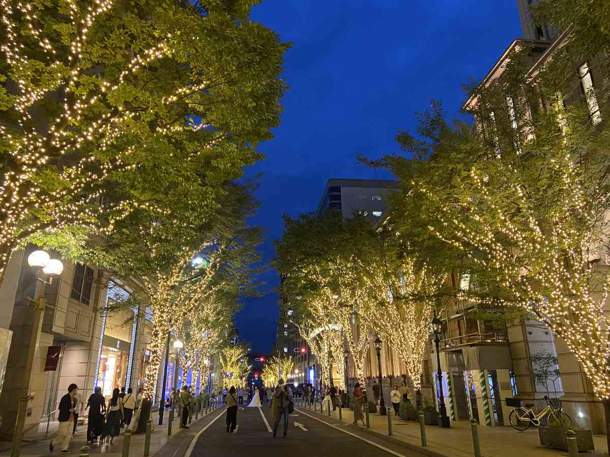 10月より開催されている旧居留地の街路樹イルミネーション