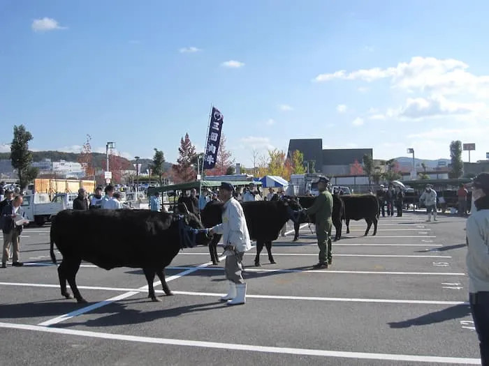 三田の秋をまるかじり！食のカーニバル「第50回さんだ農業まつり」開催 三田市 [画像]