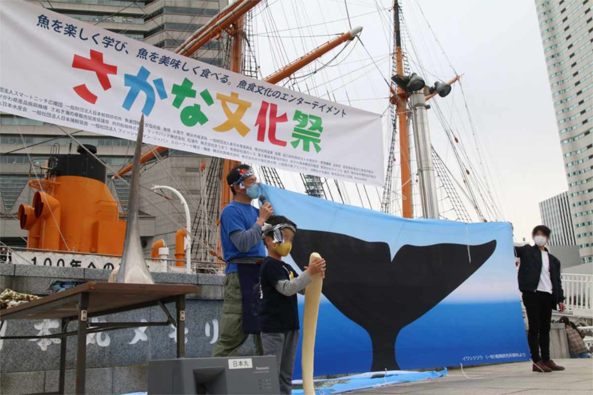 藤江の卸売市場で「さかな文化祭あかし」開催 日本最大級の魚食推進イベント 明石市 [画像]