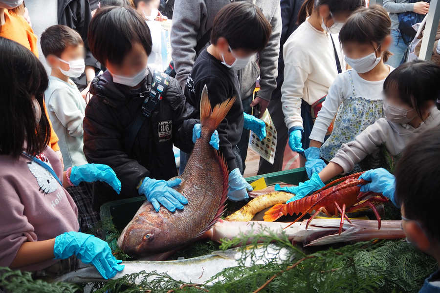 藤江の卸売市場で「さかな文化祭あかし」開催 日本最大級の魚食推進イベント 明石市 [画像]