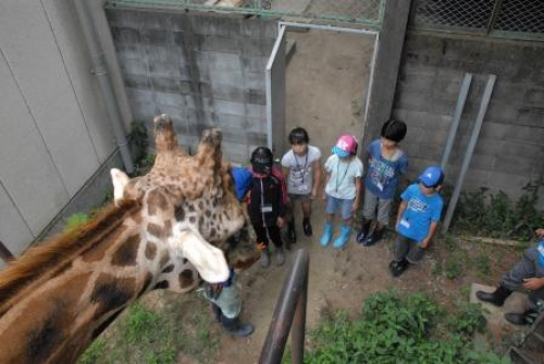動物園サマースクール参加者募集　姫路市