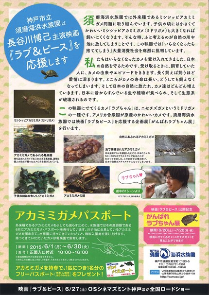 須磨海浜水族園『がんばれ！ラブちゃん展』神戸市須磨区 [画像]