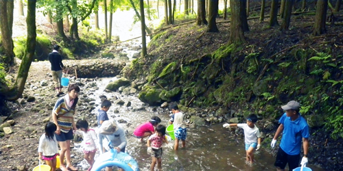 兵庫県初の森林セラピー基地　国見の森公園で夏休みイベント続々　宍粟市