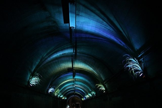 LEDで涼しげな光の演出がされた青葉トンネルクールスポット