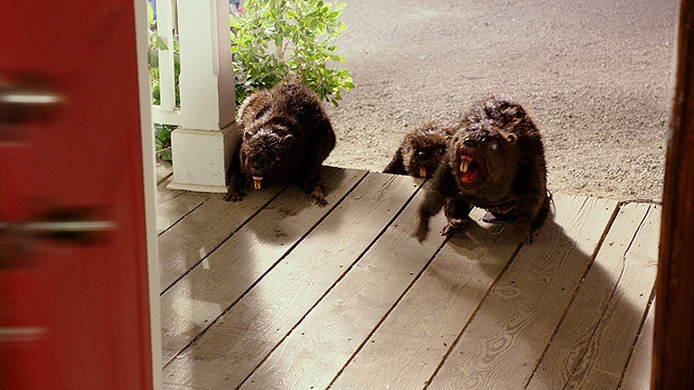 （C）2014 ZOMBEAVERS, LLC. All Rights Reserved