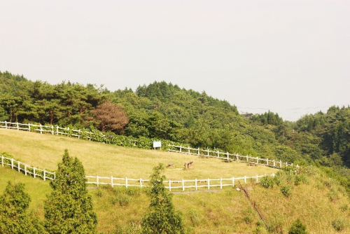 シンポジウム『布引の滝からの発信：六甲山のみどりと神戸』　神戸市中央区