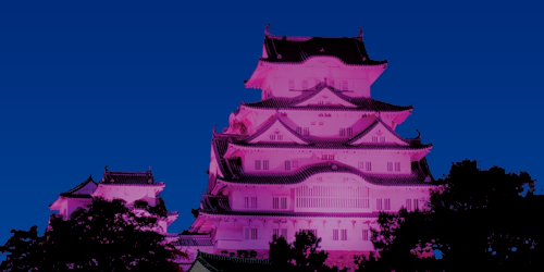 姫路城のライトアップで乳がん知識の啓発を　姫路市
