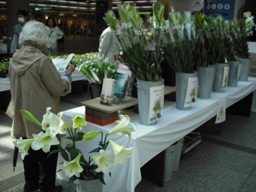 『こうべ花マルシェ』　神戸市中央区