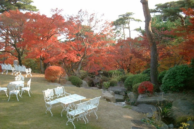 堀江オルゴール博物館『秋の庭園特別公開』　西宮市 [画像]