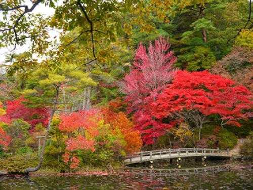 神戸市立森林植物園で紅葉が見ごろ　神戸市北区