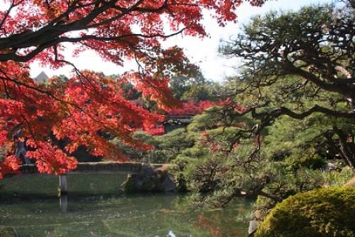 『日本庭園で紅葉を楽しむ会』　神戸市中央区