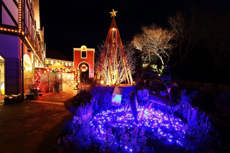 『古城のクリスマス 2015』　神戸市中央区 [画像]