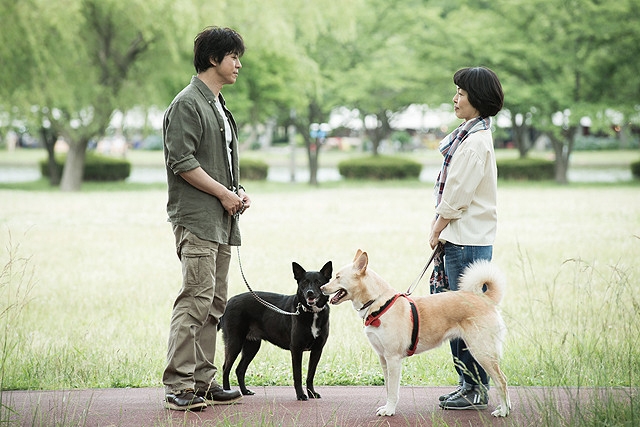 映画『犬に名前をつける日』 [画像]