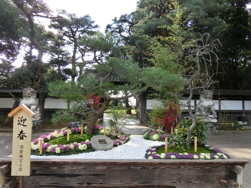 神戸市立須磨離宮公園『ジャンボ松竹梅の展示』　神戸市須磨区