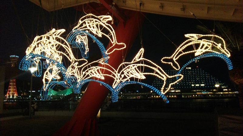 モザイク大観覧車でイルカやサメのイルミネーション実施　神戸市中央区 [画像]