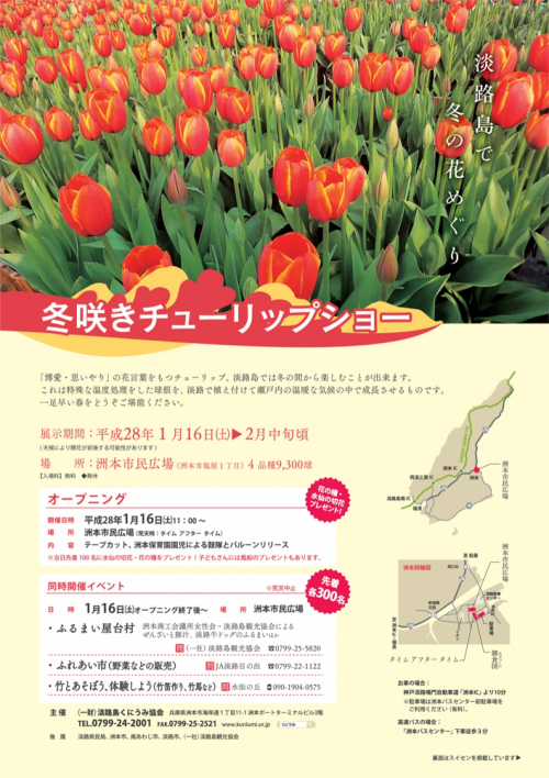 『冬咲きチューリップショー』　洲本市、神戸市中央区