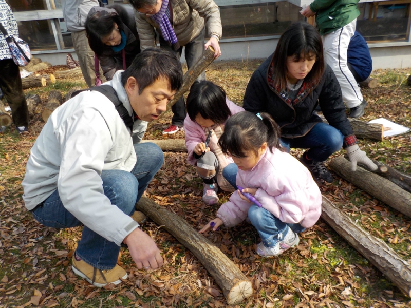 体験イベント『シイタケの植菌』　三木市 [画像]