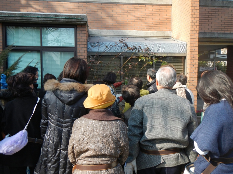 『冬バラの剪定』講習会　神戸市中央区 [画像]