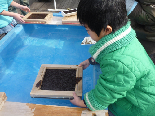 須磨海浜水族園で海苔の企画展　神戸市須磨区