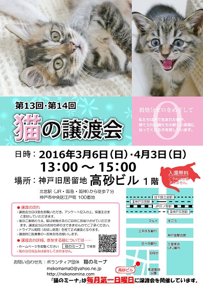 『第13回 猫の譲渡会』神戸市中央区 [画像]