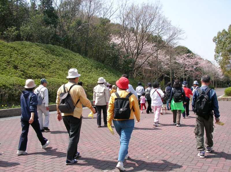 神戸総合運動公園『お花見ウォーク』 [画像]