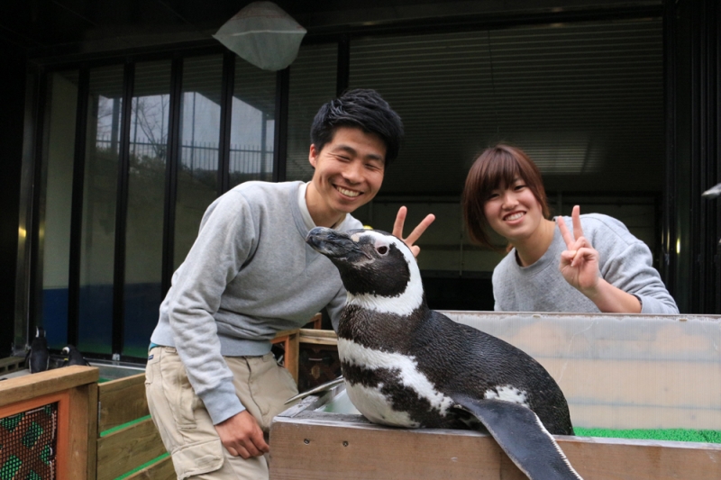 ペンギンと記念写真