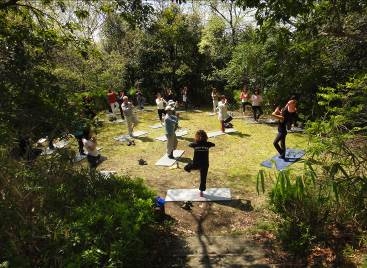 神戸総合運動公園『森林浴ヨガ』参加者募集中 [画像]