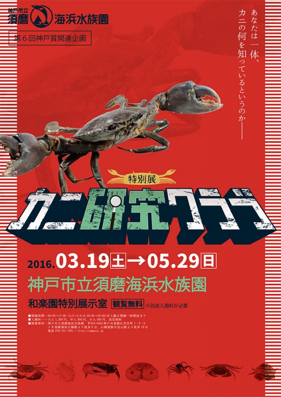 須磨海浜水族園 特別展『カニ研究クラブ』 [画像]